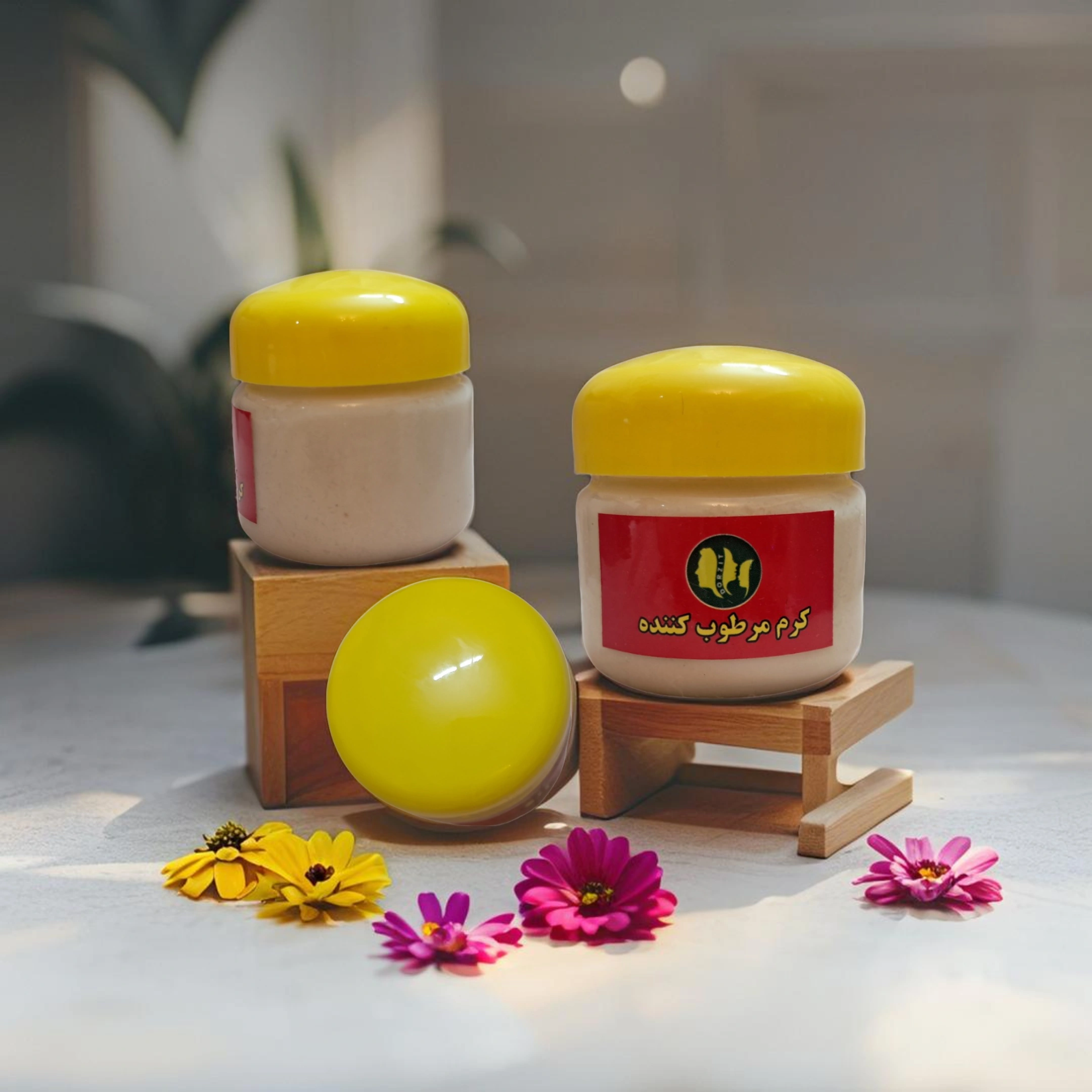 image_Pippit_202505021531 - 2025-05-02T184833.457.webp